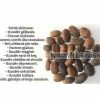 Fara të Mbretit kundër magjisë