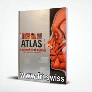 050 8 5x11 Upright Hardcover Book Mockup COVERVAULT