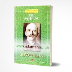 Juvenilja poema dhe poezi ndre mjeda