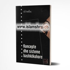 Koncepte dhe sisteme bashkekohore