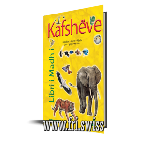 New Project 2023 05 29T153830.104