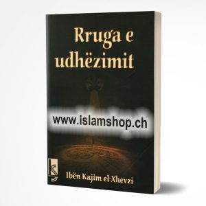 Rruga e udhezimit
