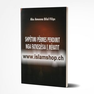 Shpetimi permes pendimi nga fatkeqesia e mekatit