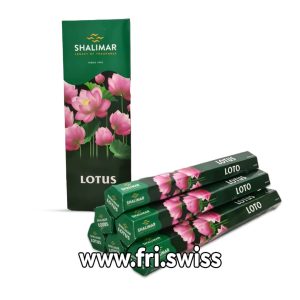 Shalimar lotus